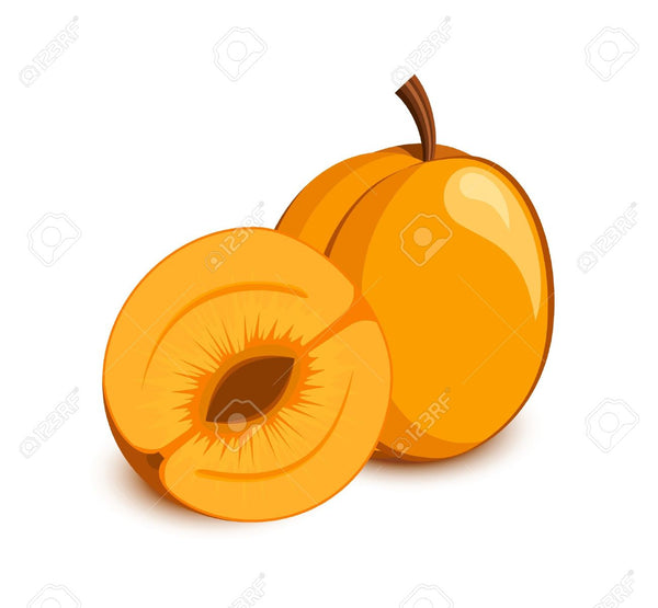 Apricot