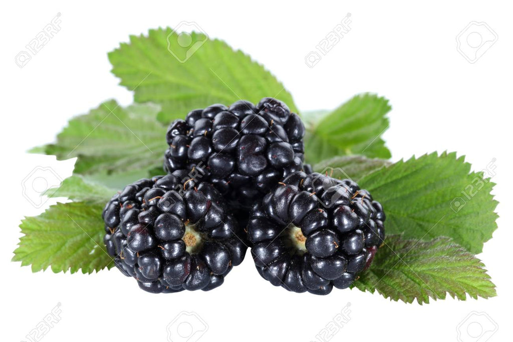 Blackberry