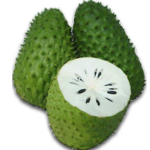 Soursop